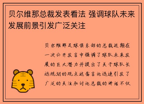 贝尔维那总裁发表看法 强调球队未来发展前景引发广泛关注